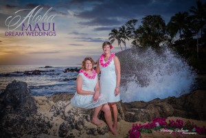 Gay wedding in hawaii