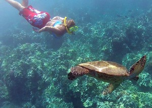 Maui Snorkeling