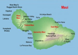 What to do in Maui
