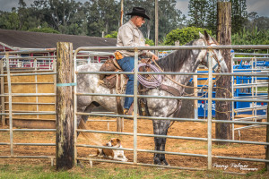 Makawao Rodeo 2016